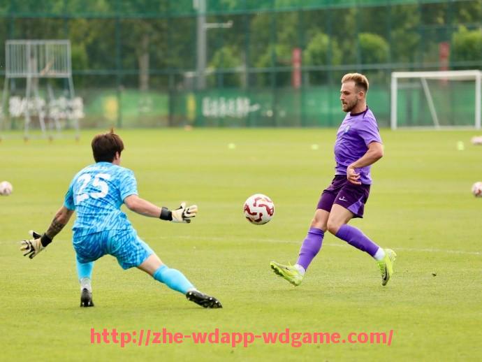 问鼎娱乐官网-德甲联赛目前有哪些球队？2025赛季全名单介绍