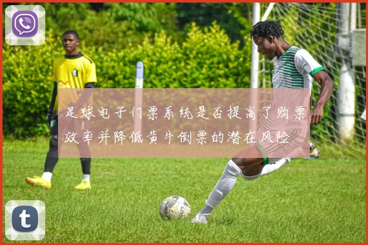 足球电子门票系统是否提高了购票效率并降低黄牛倒票的潜在风险