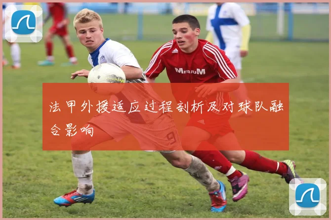 法甲外援适应过程剖析及对球队融合影响