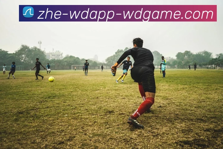 App Interface Preview